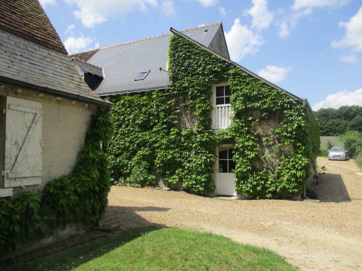 Semblançay Chambres D'Hotes La Ferme Du Grand Launay المظهر الخارجي الصورة